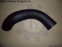 Патрубок радиатора Г-31029 нижний