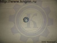 Сальник помпы Г-31029