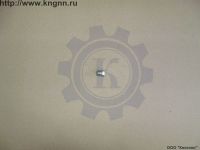 Гайка крепления колпака Газель (хром)