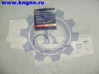 Кольца поршневые Ф95.5 Кольца поршневые Ф95.5