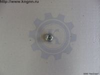 Пробка заднего моста ГАЗ