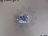 Заклепки задних колодок Газель (4х11)