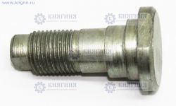 Болт эксцентрика задних тормозных колодок ГАЗ-3307,3309,ПАЗ Болт эксцентрика задних тормозных колодок ГАЗ-3307,3309,ПАЗ