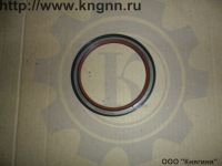 Сальник к/вала Г-560 задний
