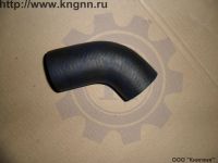 Патрубок бензобака Г-3110