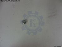 Гайка М20х1,5 шпильки колеса Г-53 внутренняя Гайка М20х1,5 шпильки колеса Г-53 внутренняя