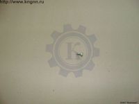 Болт М10х1х18 дверной петли Волга