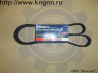 Ремень 1413 405,409 ЕВРО-3 с ГУР, Газон NEXT