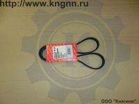 Ремень 1290 409 (6-РК-1290) Ремень 1290 409 (6-РК-1290)