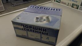 Поршни 421 101,0 гр.Д