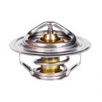 Термостат Газель Бизнес УМЗ, Г-66,-3307, ПАЗ 87гр.