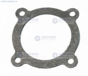 Прокладка дросселя 4216 Е-4